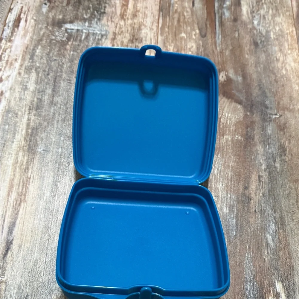 Wonder Woman Blue sandwich keeper tupperware